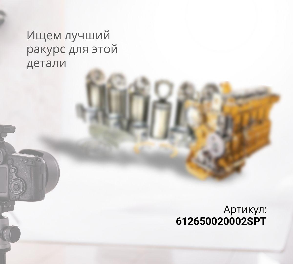 Поршневая группа в сборе WP10 Евро5 LEO Trade
